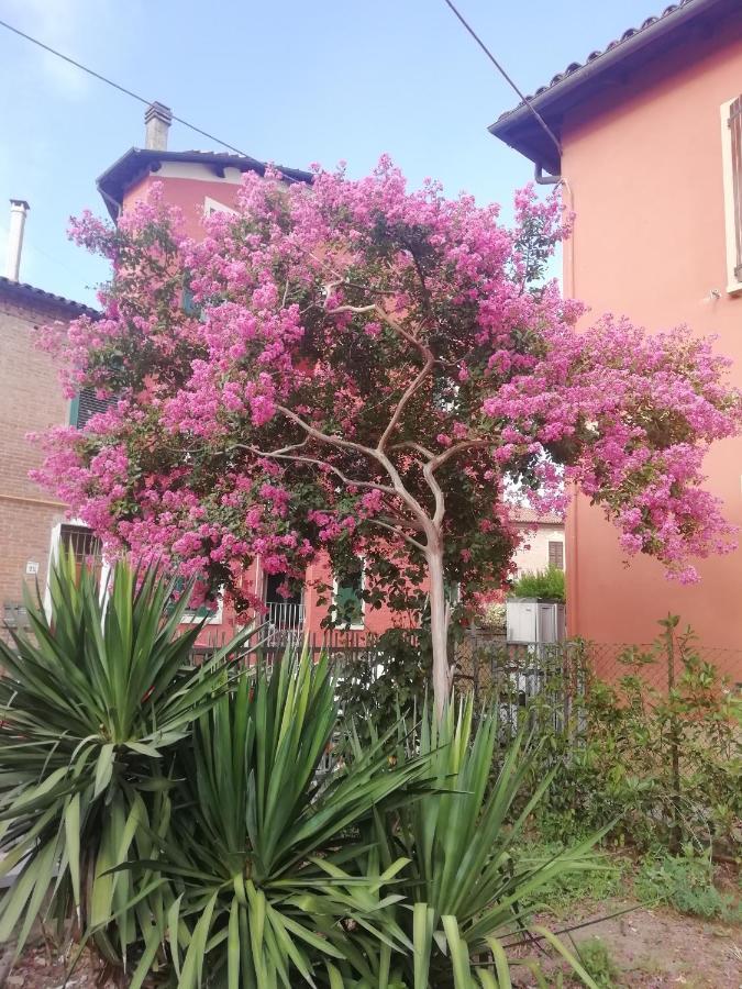 Grigio Perla Panigale, Villetta Con Giardino E Parcheggio Privato Fino A Tre Posti Auto - Un Oasi Di Tranqullita Bologna Exterior photo